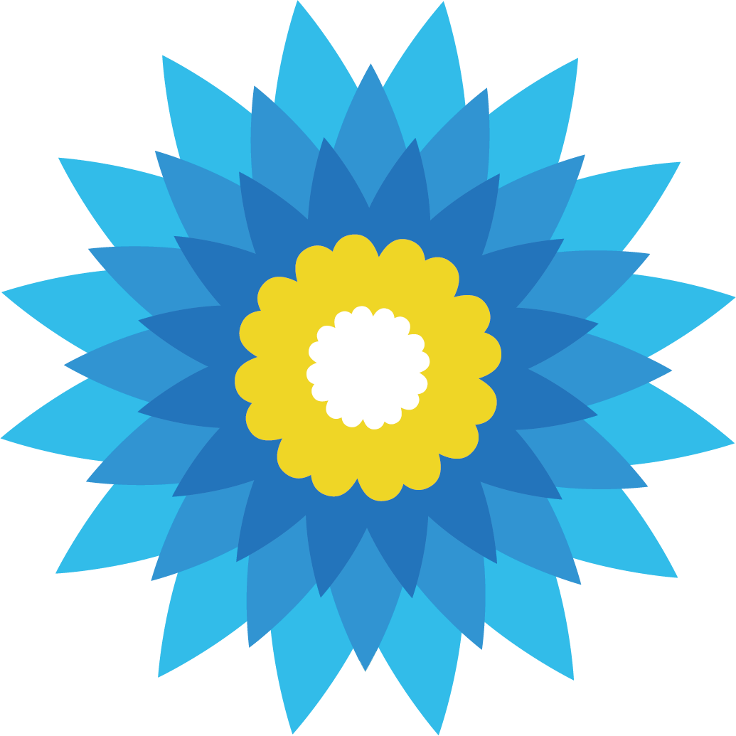 蓝菊花搜索