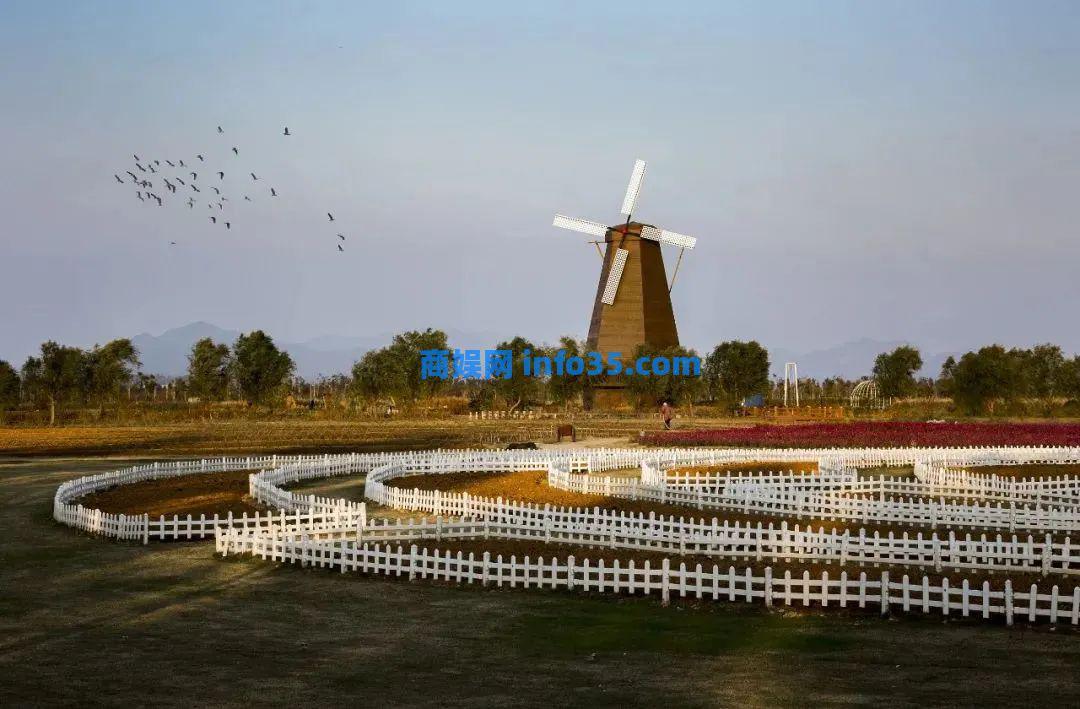 下一个爆款海岛！它被央视点名夸赞，自驾仅20分钟，美食不输潮汕！