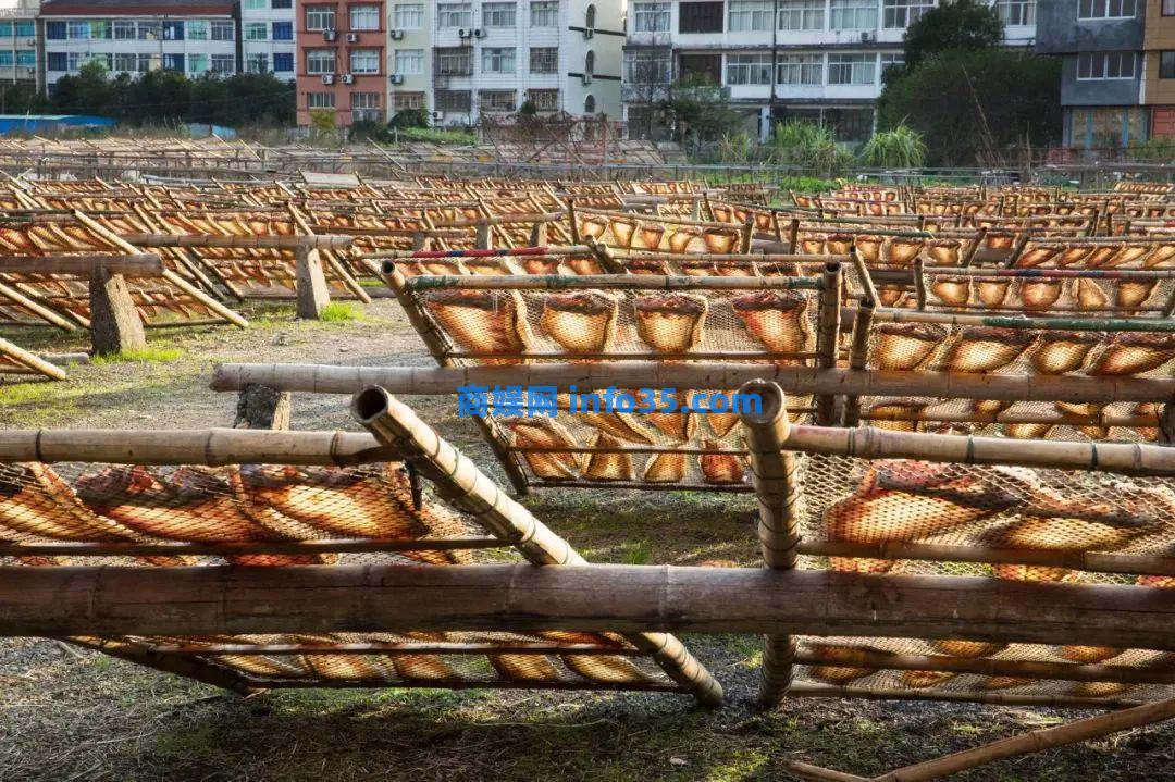 下一个爆款海岛！它被央视点名夸赞，自驾仅20分钟，美食不输潮汕！