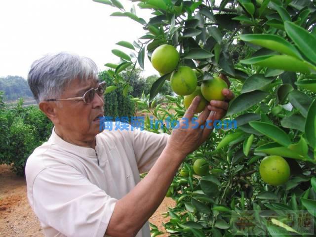 他71岁入狱,85岁身家过亿。