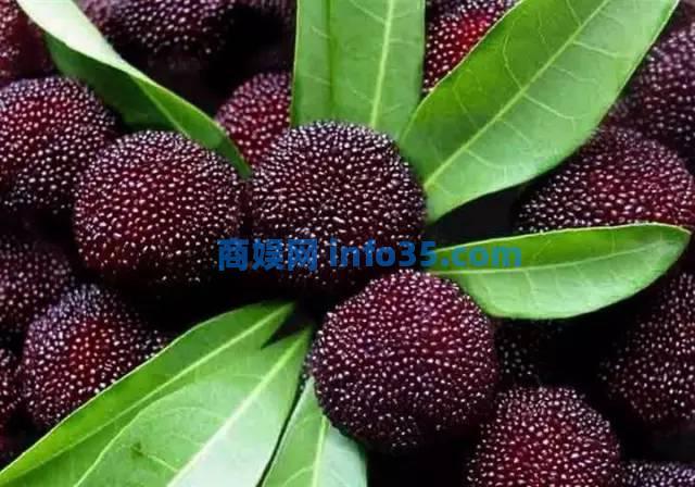 杨梅奇葩新吃法,看了之后赶紧吃颗杨梅压压惊。
