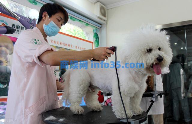 30岁小伙开宠物店, 利用一招“无偿领养”, 年赚300万, 学学人家