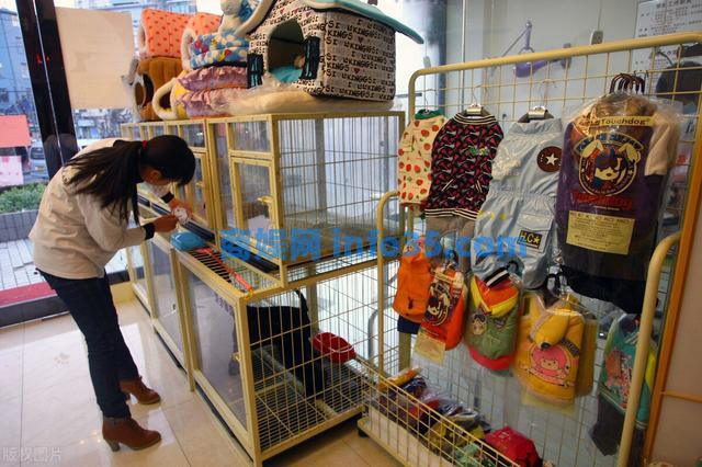 30岁小伙开宠物店, 利用一招“无偿领养”, 年赚300万, 学学人家