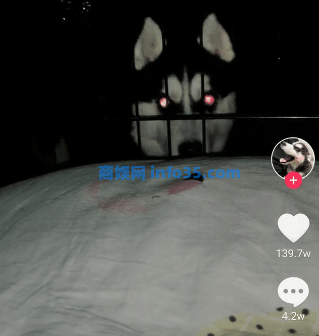 Tik Tok变身网络名人大V只需15秒,了解Tik Tok的推荐机制,让你轻松走红。