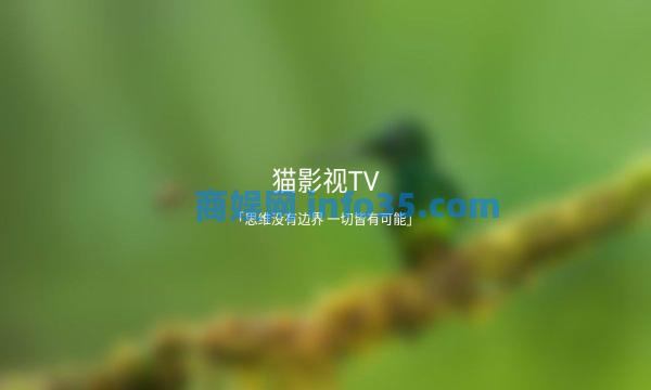 猫影视TV最新版和接口