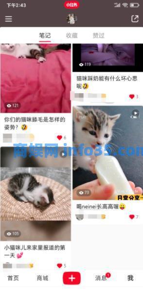 如何通过小红书0成本引流到变现闭环?