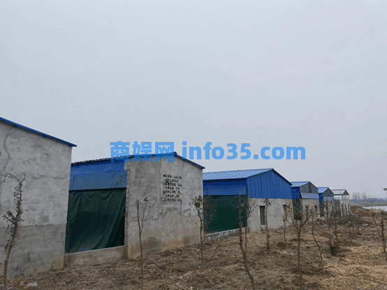 用SHEIN模式养羊,宁波老板年入千万