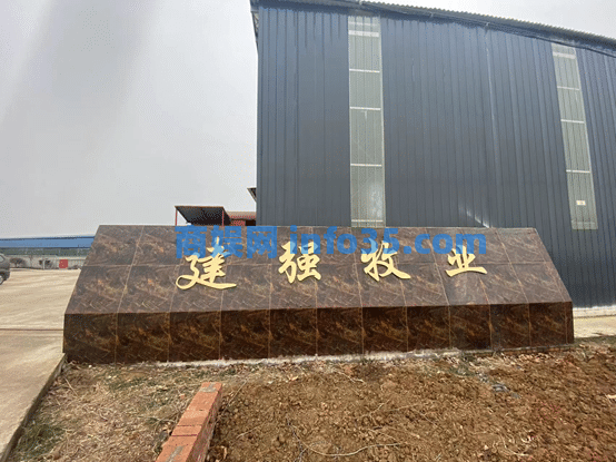用SHEIN模式养羊,宁波老板年入千万