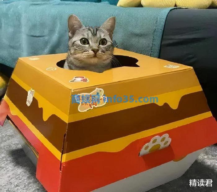 上海麦当劳1张偷拍照流出,戳穿残酷事实:醒醒,哪来的铁饭碗