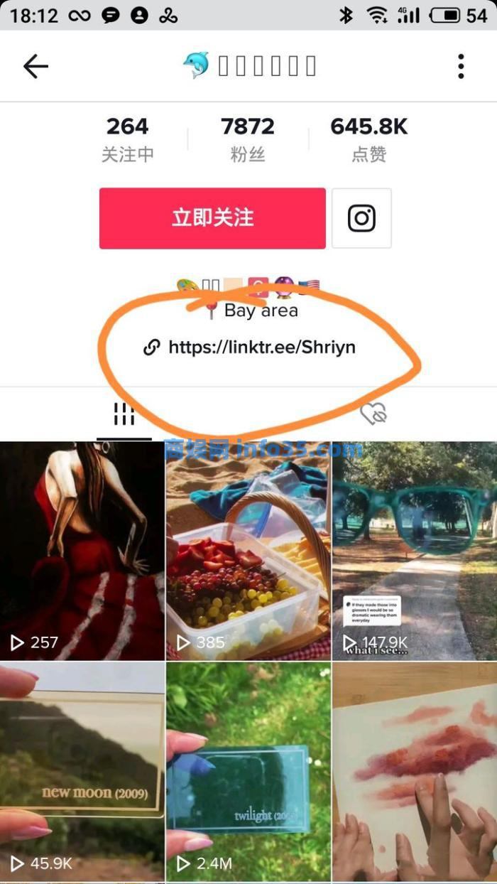 互联网行业天花板项目:Tiktok