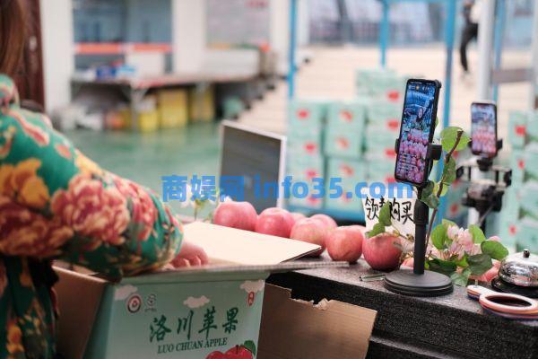 习近平总书记关心的苹果成为乡亲们脱贫致富的“幸福果”