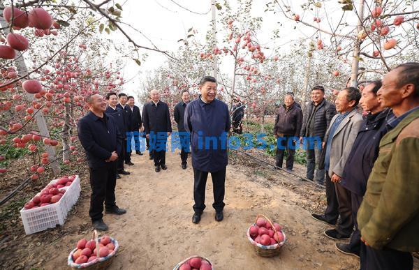 习近平总书记关心的苹果成为乡亲们脱贫致富的“幸福果”