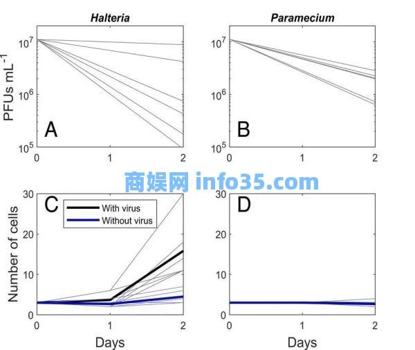 病毒细菌的天敌出现了?科学家首次发现专吃病毒细菌的生物。