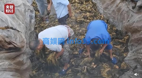 四川一地再现土坑酸菜:工人用脚踩 网友:还是熟悉的配方。