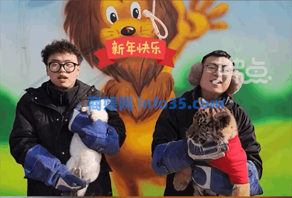 动物园办虎兔交接仪式:兔子差点成“盘中餐”