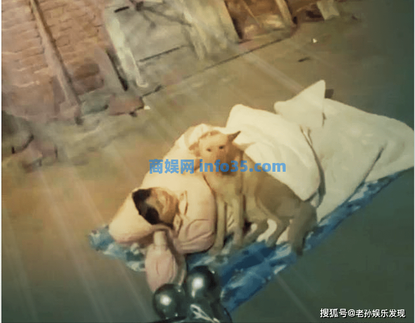 18岁女生因拒绝相亲,两晚被赶出门,这么冷的夜晚她只好与狗狗睡觉。