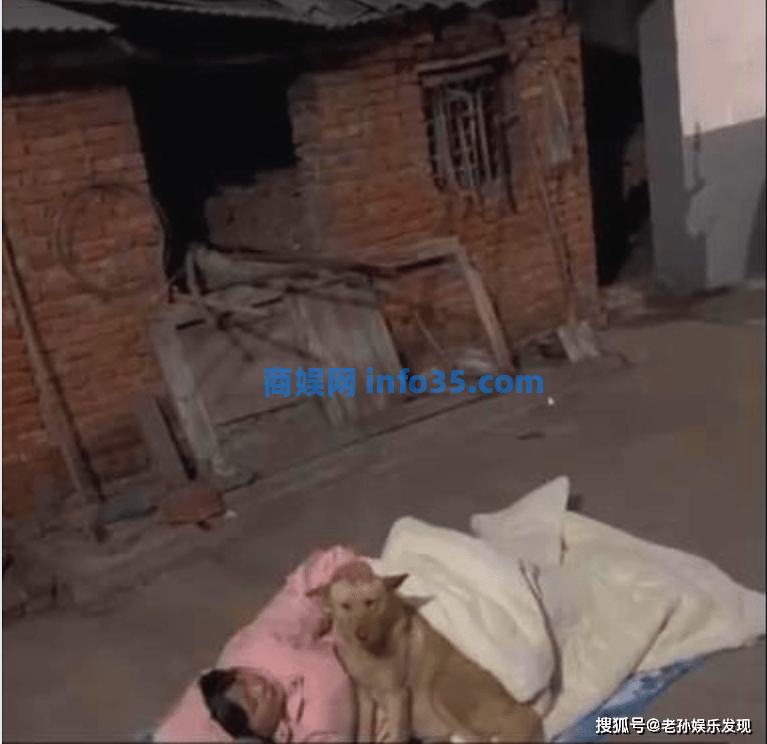 18岁女生因拒绝相亲,两晚被赶出门,这么冷的夜晚她只好与狗狗睡觉。
