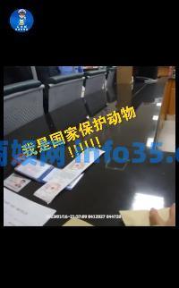 男子醉驾被查大喊:“我是国家保护动物!”