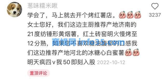 又一专坑中国年轻人的“新型网红”曝光:为了割韭菜,脸都不要了。