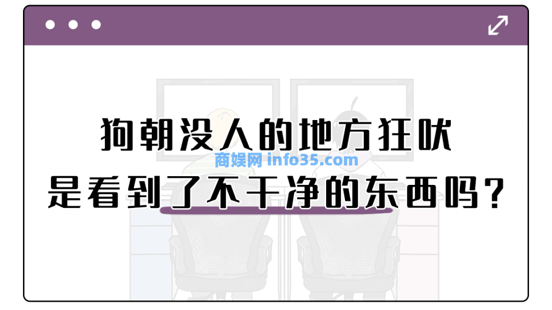 狗朝着没人的地方狂吠,是看到了什么「不干净」的东西吗?