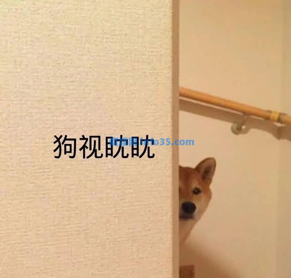 狗朝着没人的地方狂吠,是看到了什么「不干净」的东西吗?