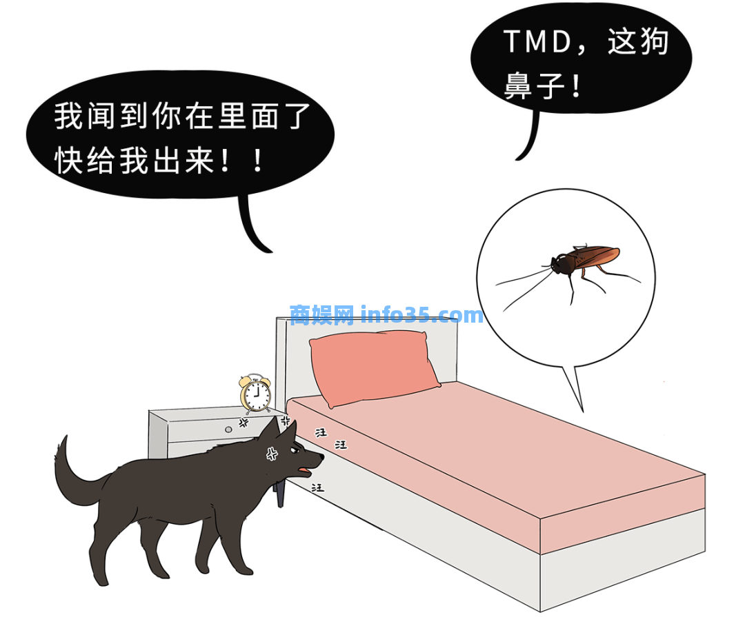 狗朝着没人的地方狂吠,是看到了什么「不干净」的东西吗?