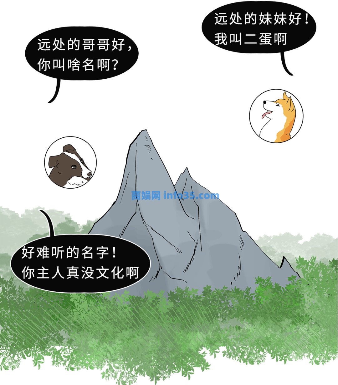 狗朝着没人的地方狂吠,是看到了什么「不干净」的东西吗?