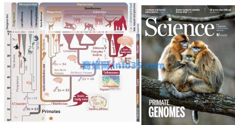 2023年度中国生命科学10大进展发布