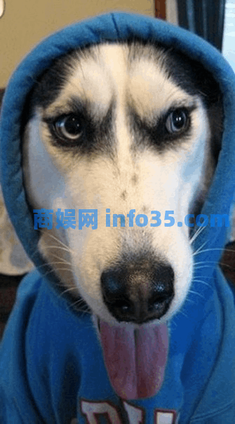 9 亿用户、估值 300 亿美元，「暗黑版微信」决定上市。