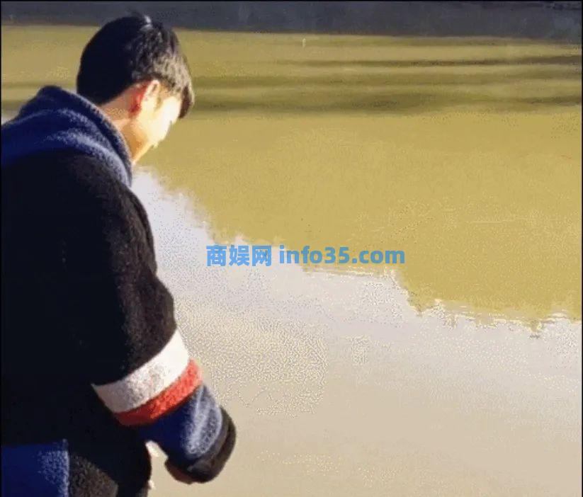 这届成年人,开始靠玩具续命了。