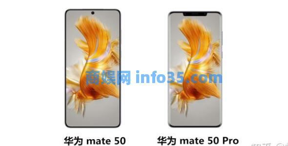 华为mate50和mate50pro区别详解 华为mate50和mate50pro参数对比