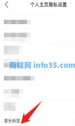 网易云音乐怎么样隐藏标签 网易云音乐隐藏标签方法
