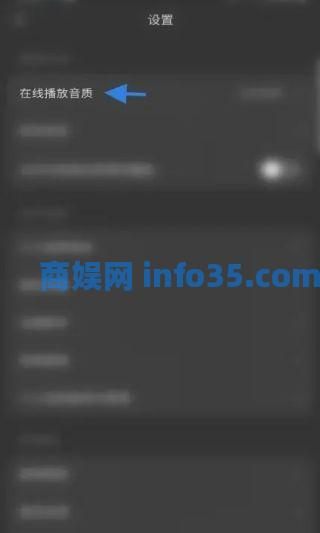 汽水音乐怎么自动切换音质 汽水音乐自动切换音质设置方法