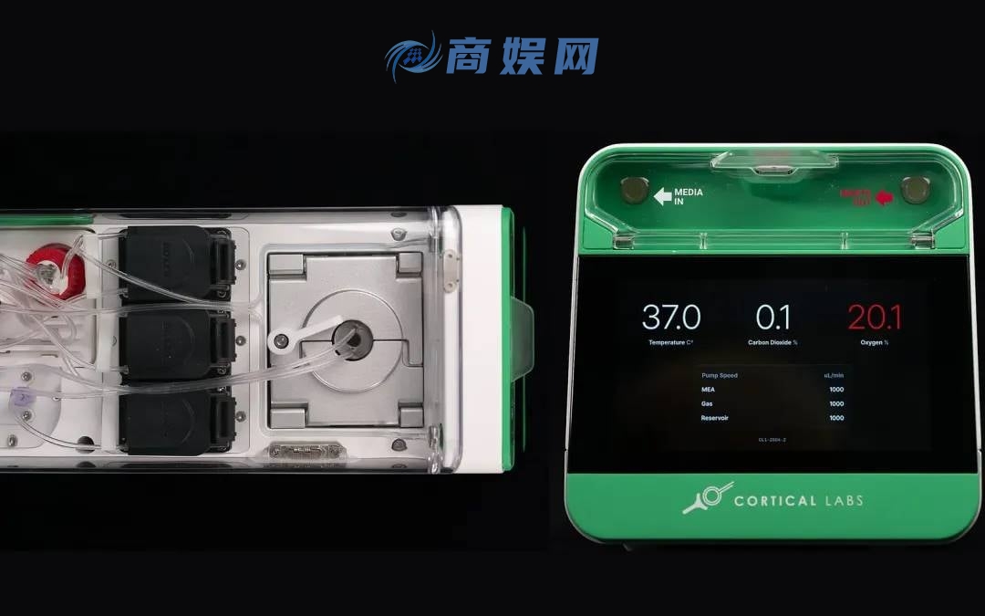20 万一台的「人脑计算机」,可能是人类战胜 AI 的唯一方式?