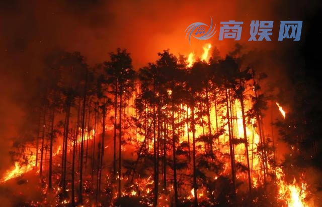 假如地球停止公转,我们生命的最后 64 天将怎么度过?