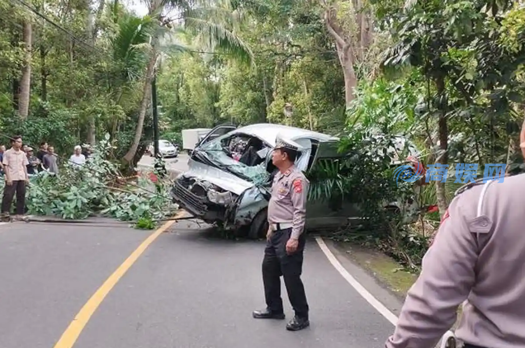 我领馆证实巴厘岛交通事故致中国公民5死8伤