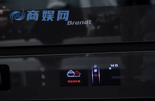 百年国际大厂白朗集团(Brandt),宣告破产!