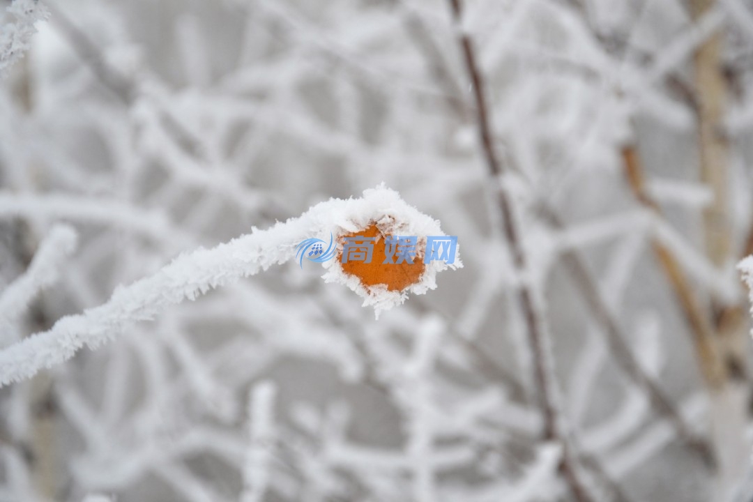 一年最冷的时段要来了！今日冬至 微信上线限定状态