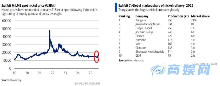 青山集团：从镍矿与不锈钢巨头迈向铝业及新能源电池领域