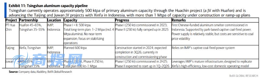 青山集团：从镍矿与不锈钢巨头迈向铝业及新能源电池领域